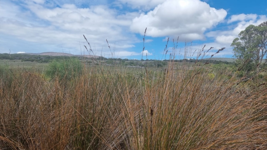 3 Bedroom Property for Sale in Albertinia Western Cape